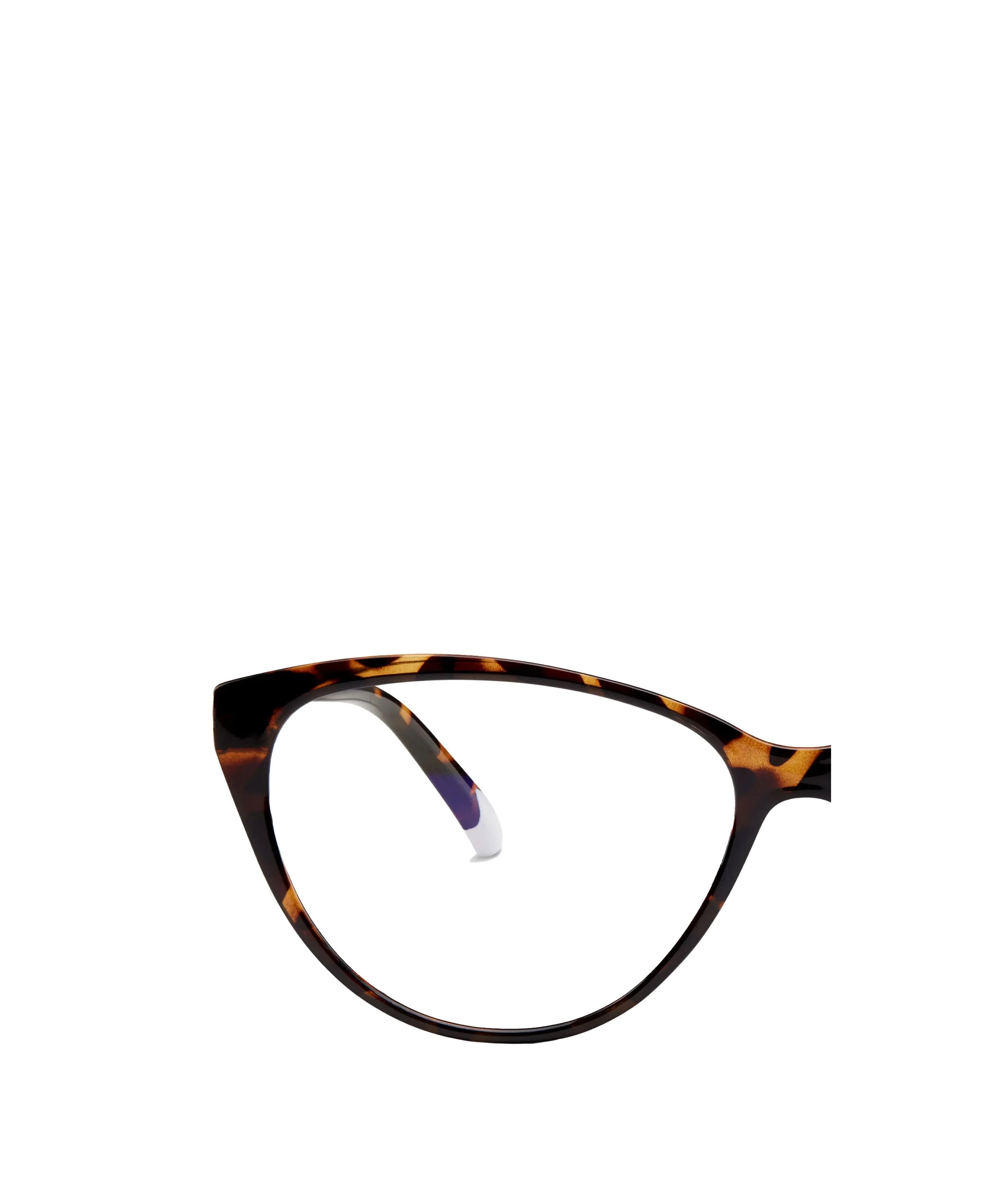 Astoria Glasses - Tortoise (Glossy) - Image 4