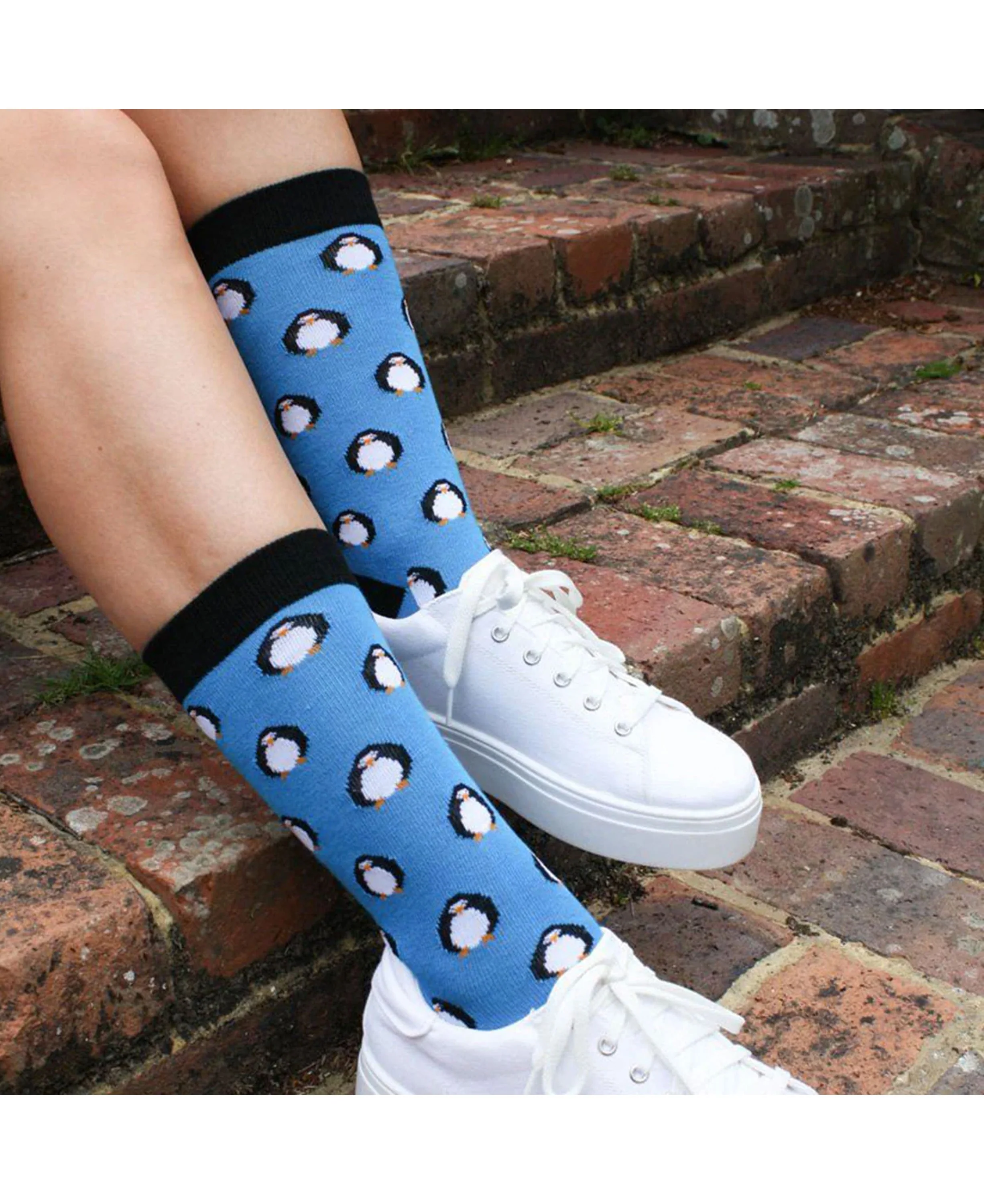 Bamboo Socks - Penguins - Image 4