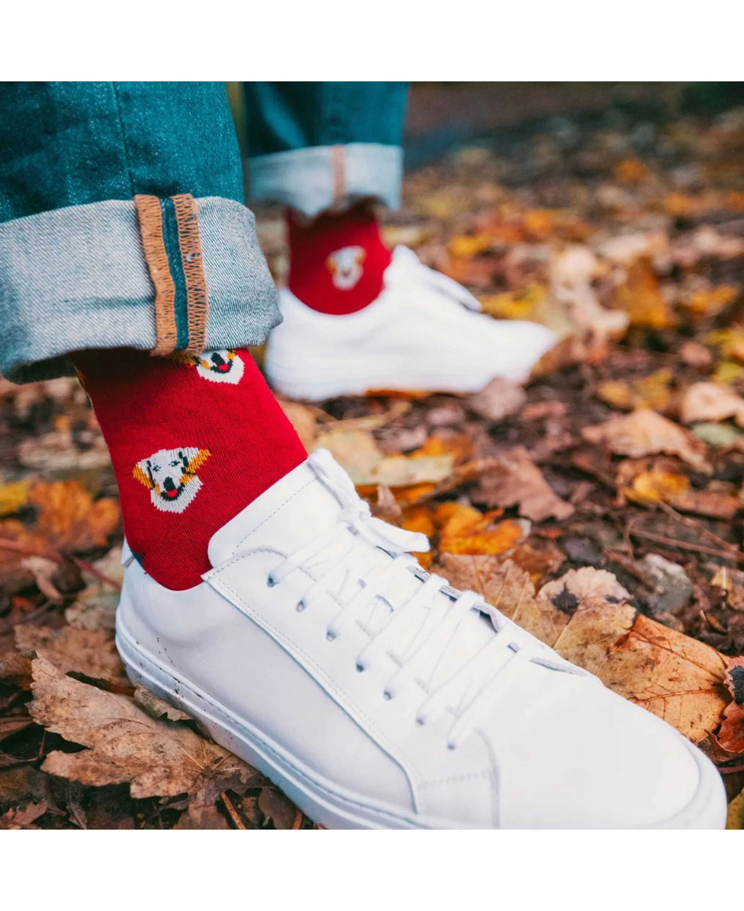 Bamboo Socks - Retrievers - Image 2