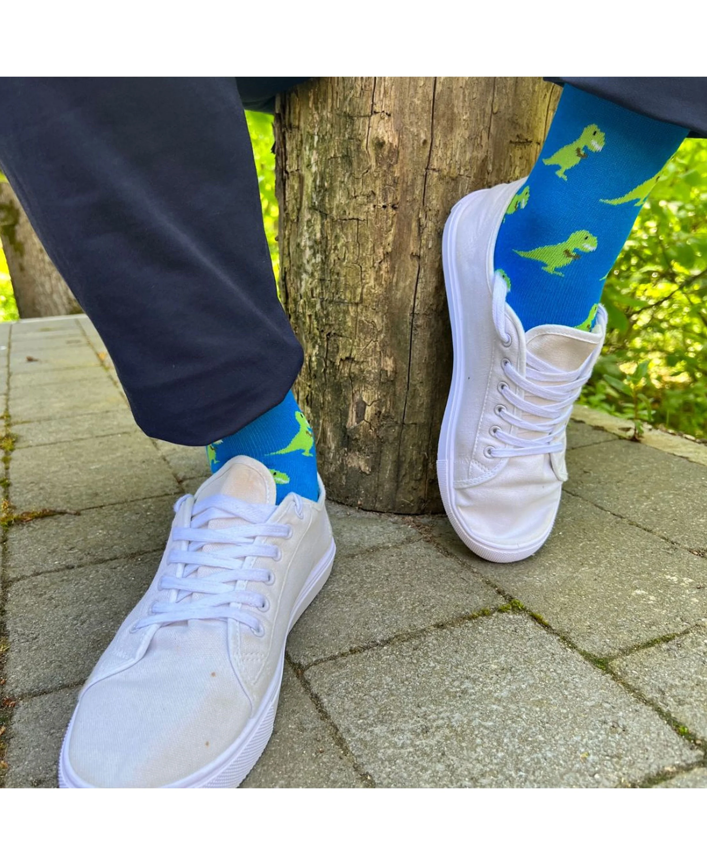 Bamboo Socks - T-Rex - Image 3