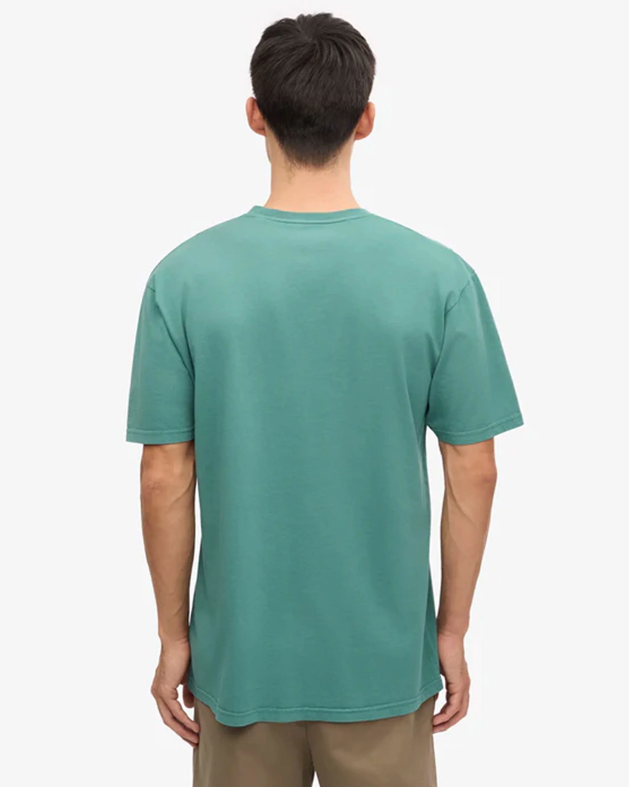 Classic Organic Tee - Pine Green - Image 4