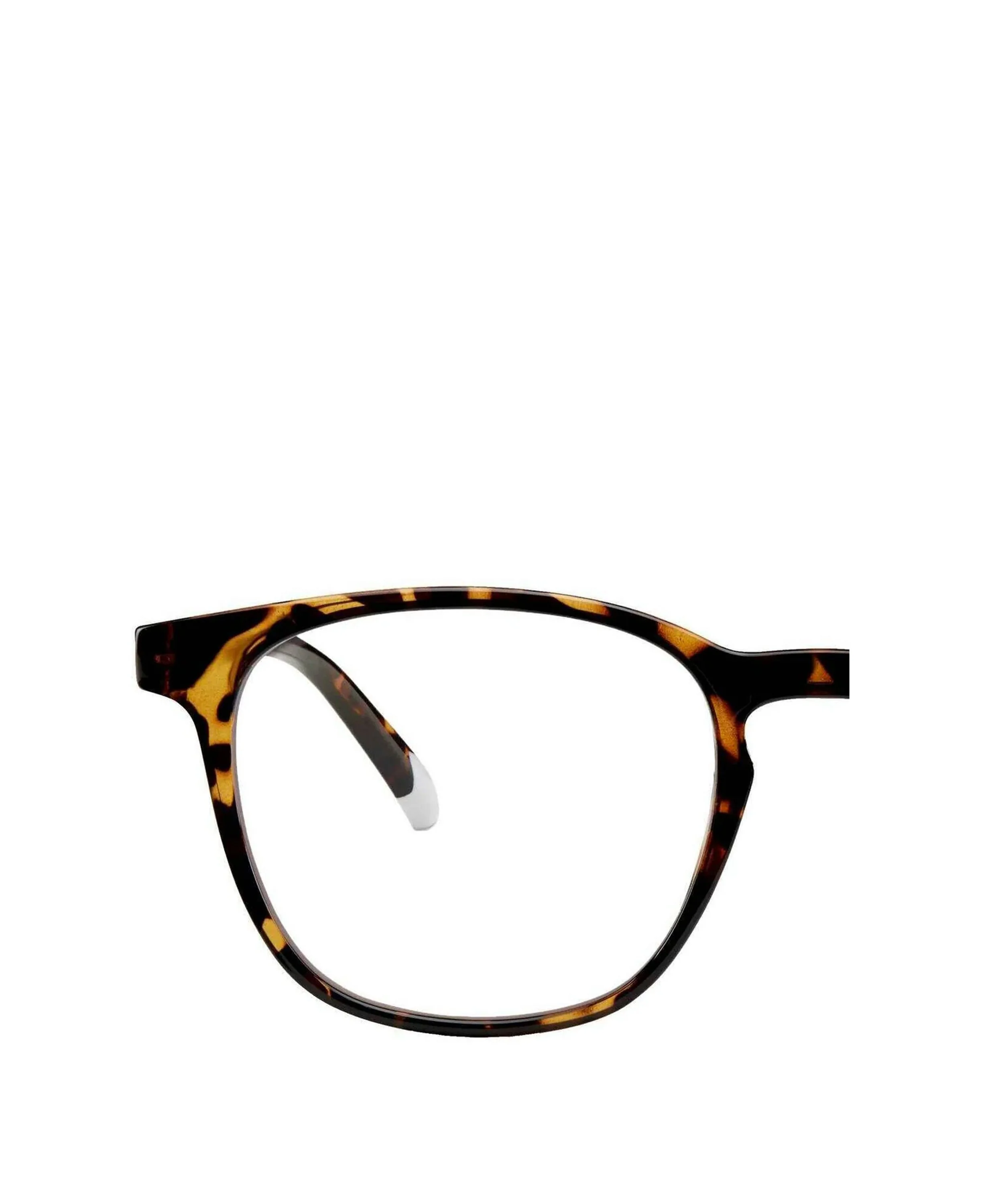 Dalston Glasses - Tortoise (Glossy) - Image 4