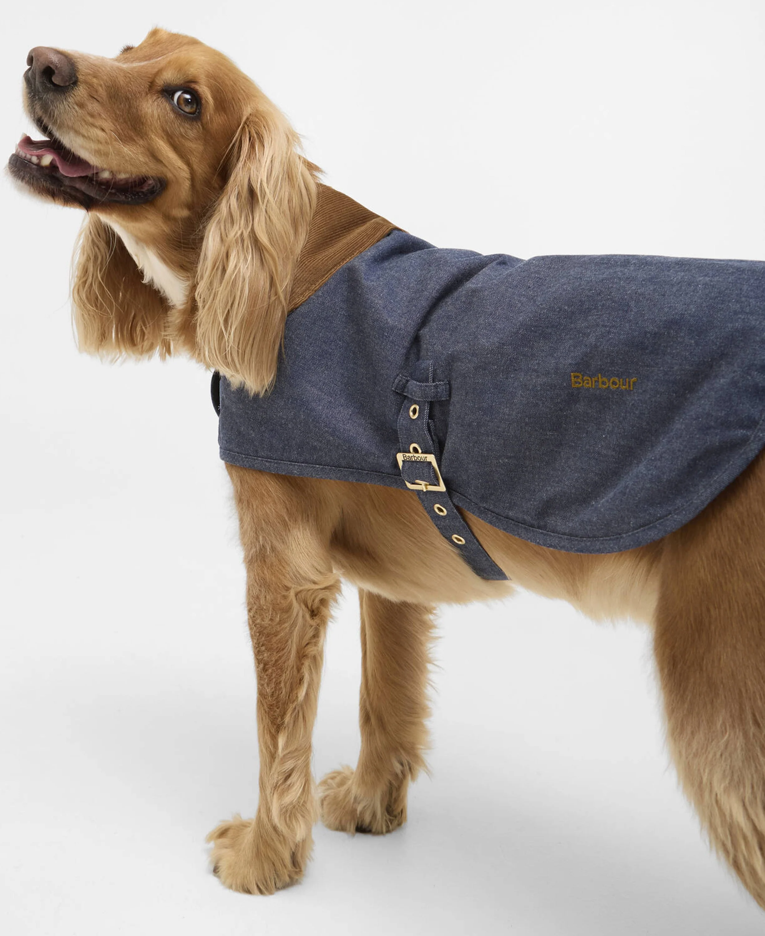 Denim Drywax Dog Coat - Indigo - Image 2