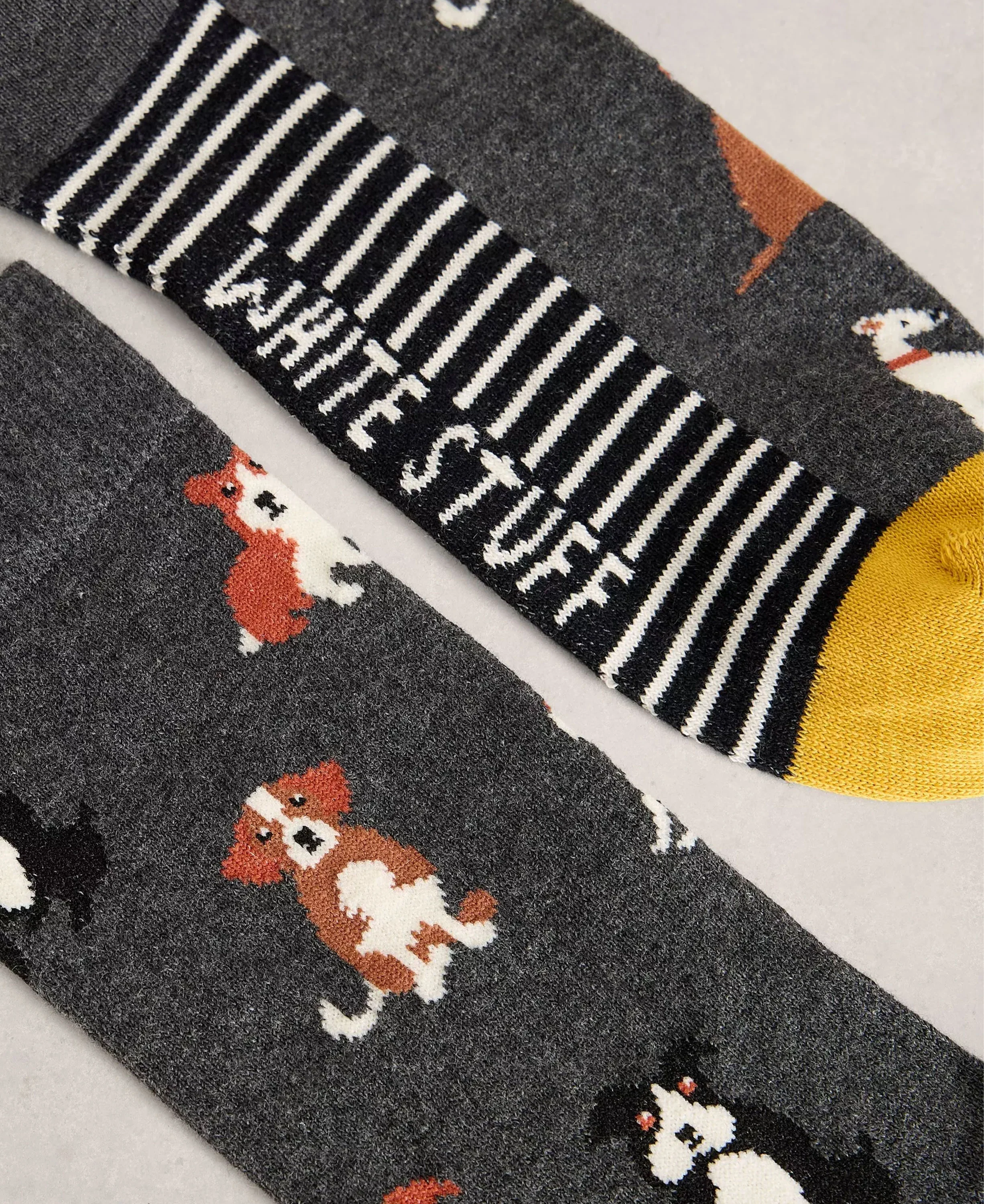 Dogs In A Cracker - Grey Multi - Image 3