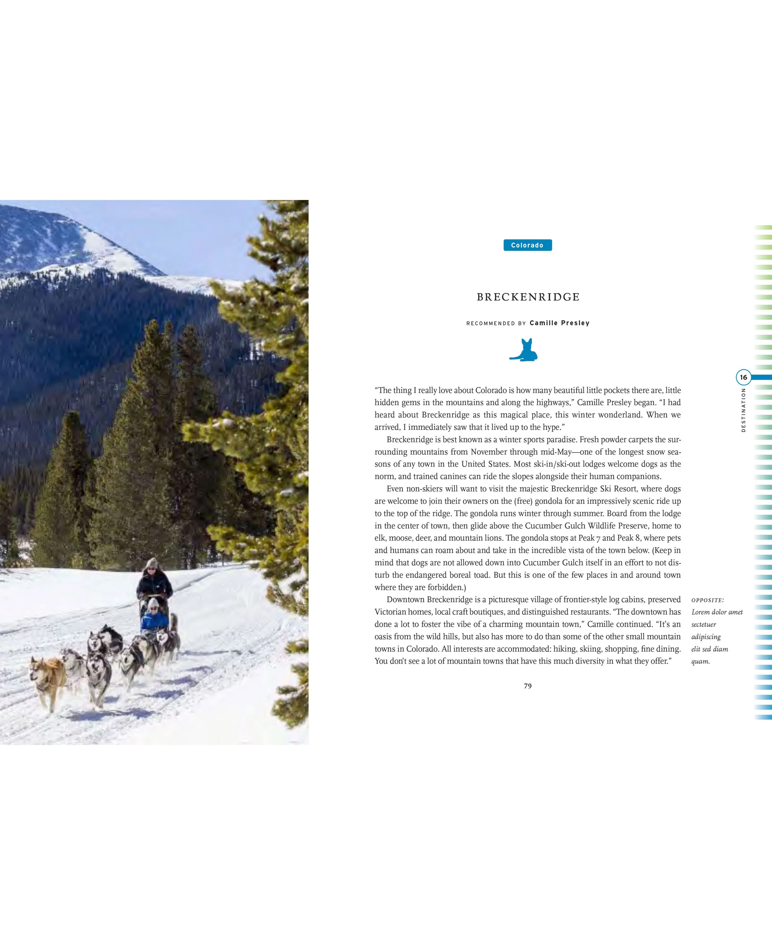 Fifty Places To Travel With Your Dog Before You Die - Image 3
