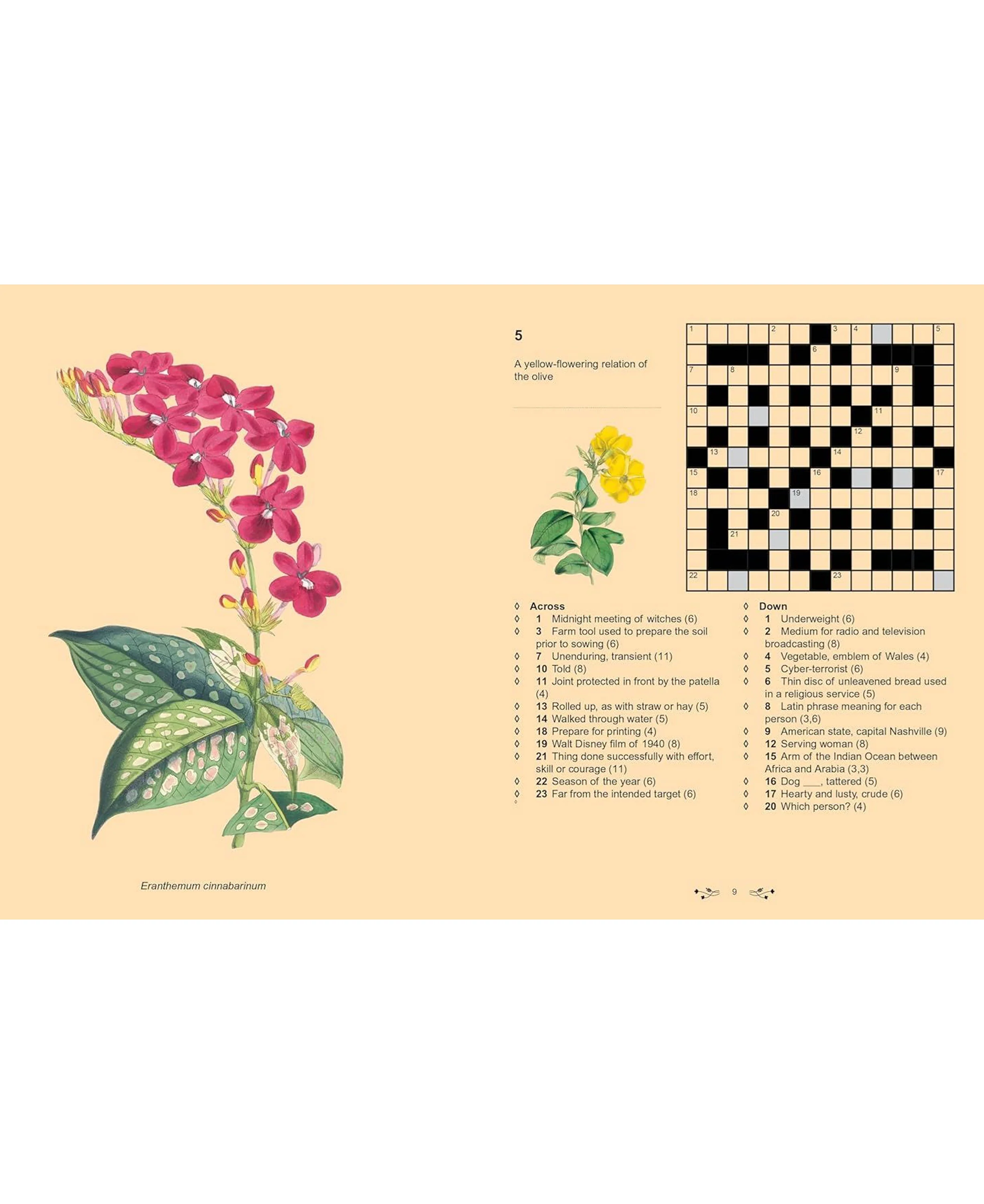 Kew Gardens Crosswords - Image 3