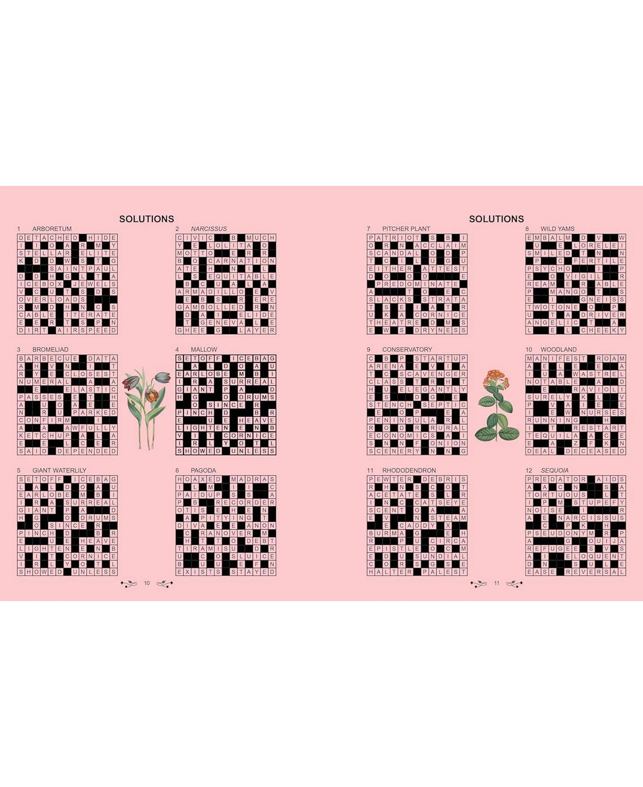 Kew Gardens Crosswords - Image 4