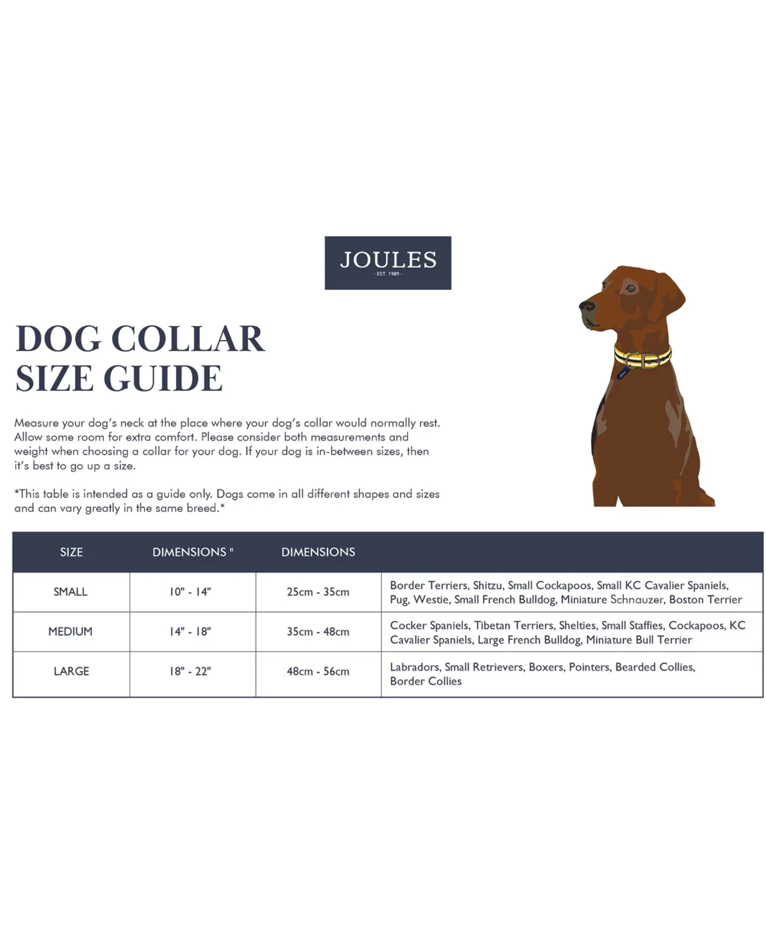 Leather Collar Small - Navy - Image 5