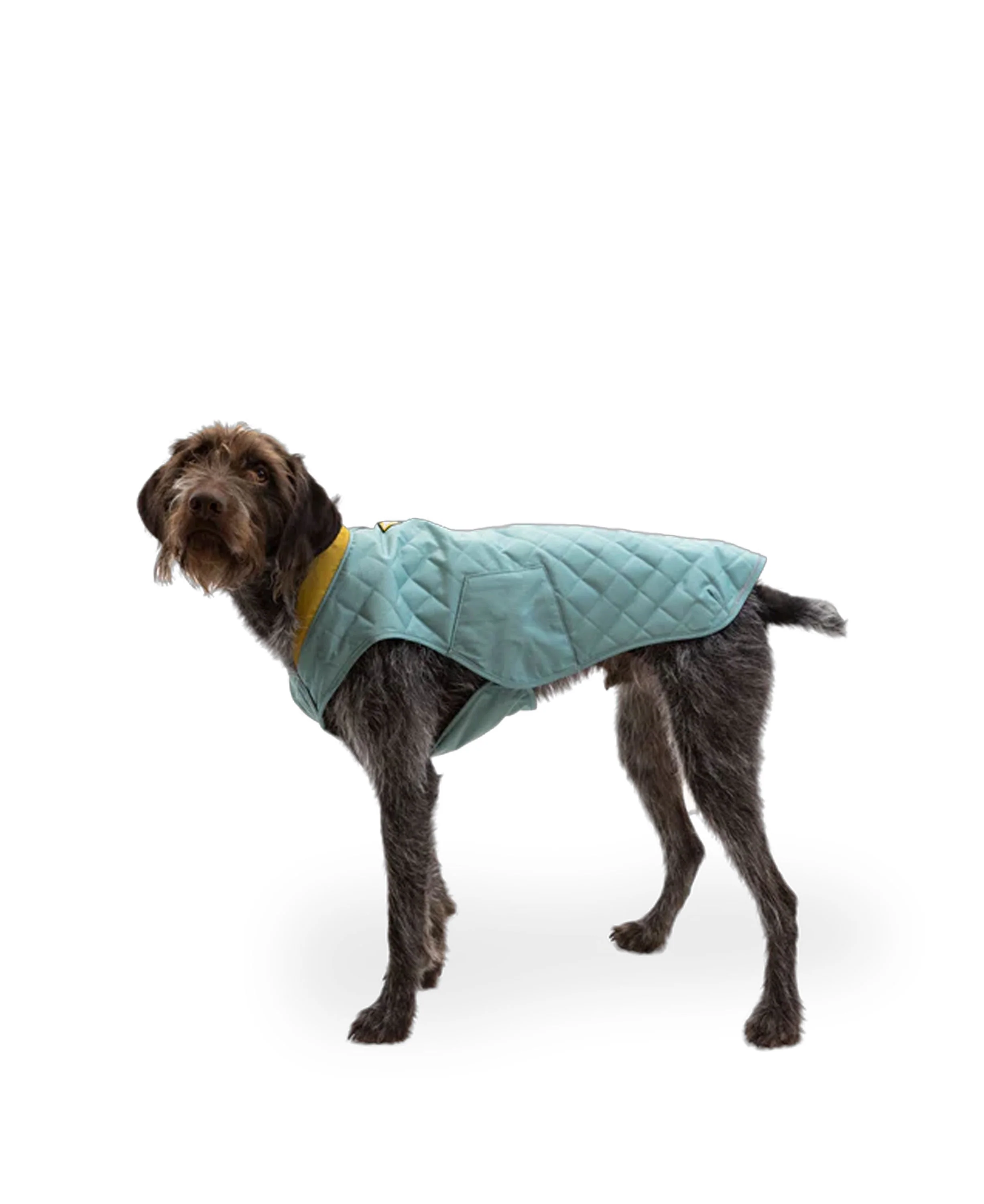 Stumptown Jacket - River Rock Green - Image 2