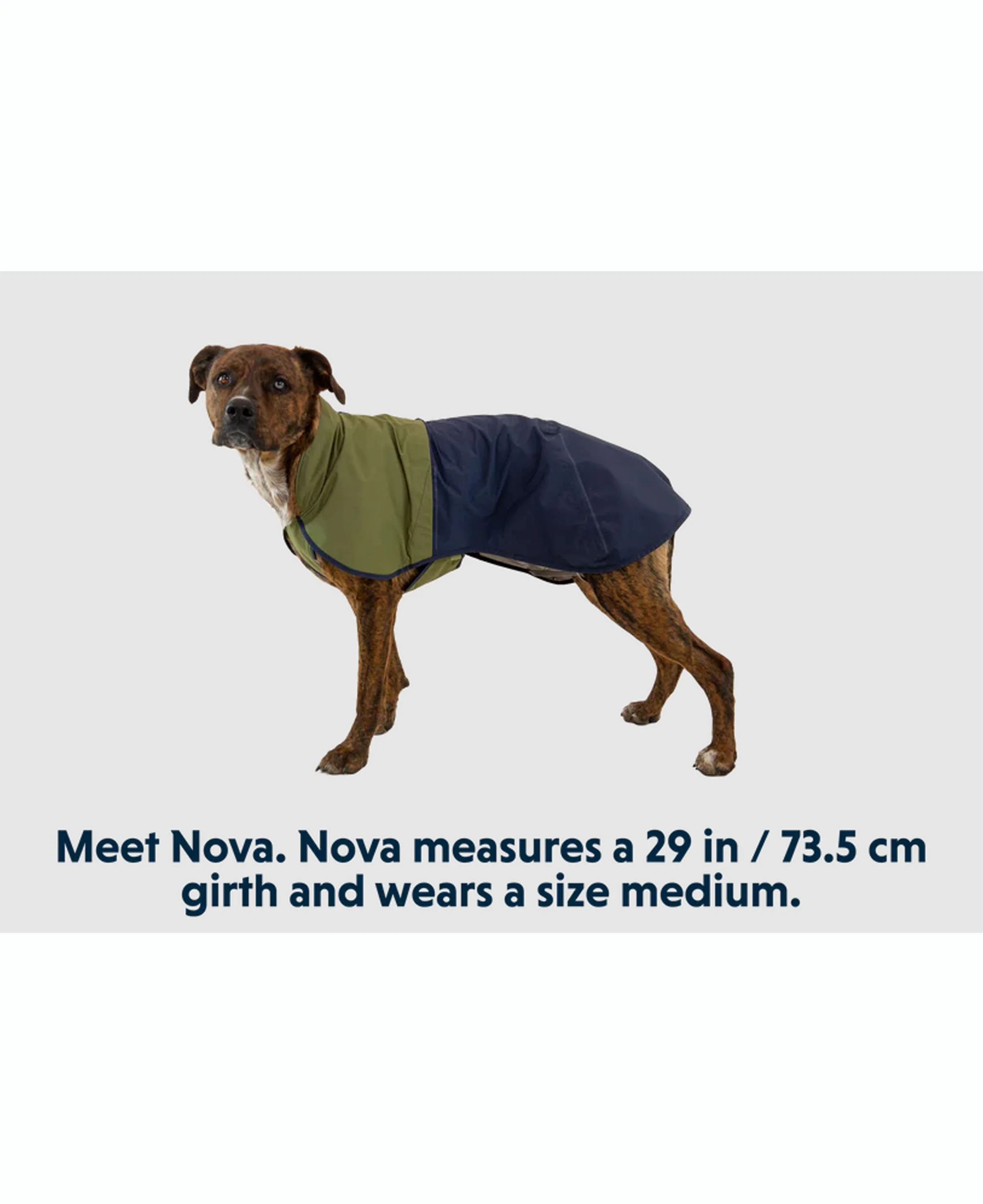 Sun Shower Jacket - Midnight Blue - Image 8
